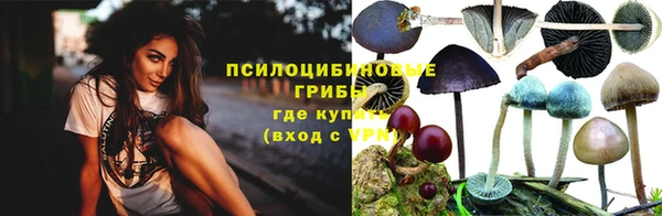гидропоника Арсеньев
