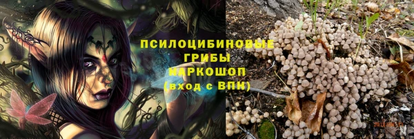 прущие грибы Баксан