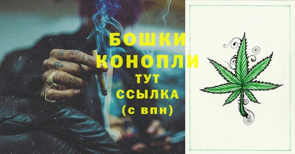 трава Аркадак