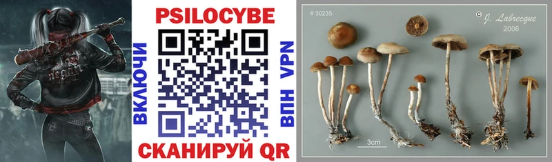 Галлюциногенные грибы MAGIC MUSHROOMS  Северобайкальск 